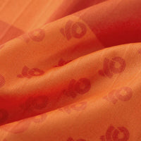 Apex+ Zero Aero Trisuit