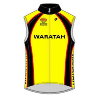 Wind Vest