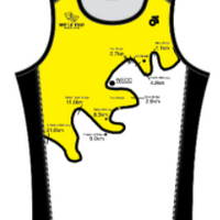 Apex Men's Run Singlet