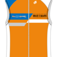 Tech Wind Vest