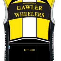 Performance Wind Vest