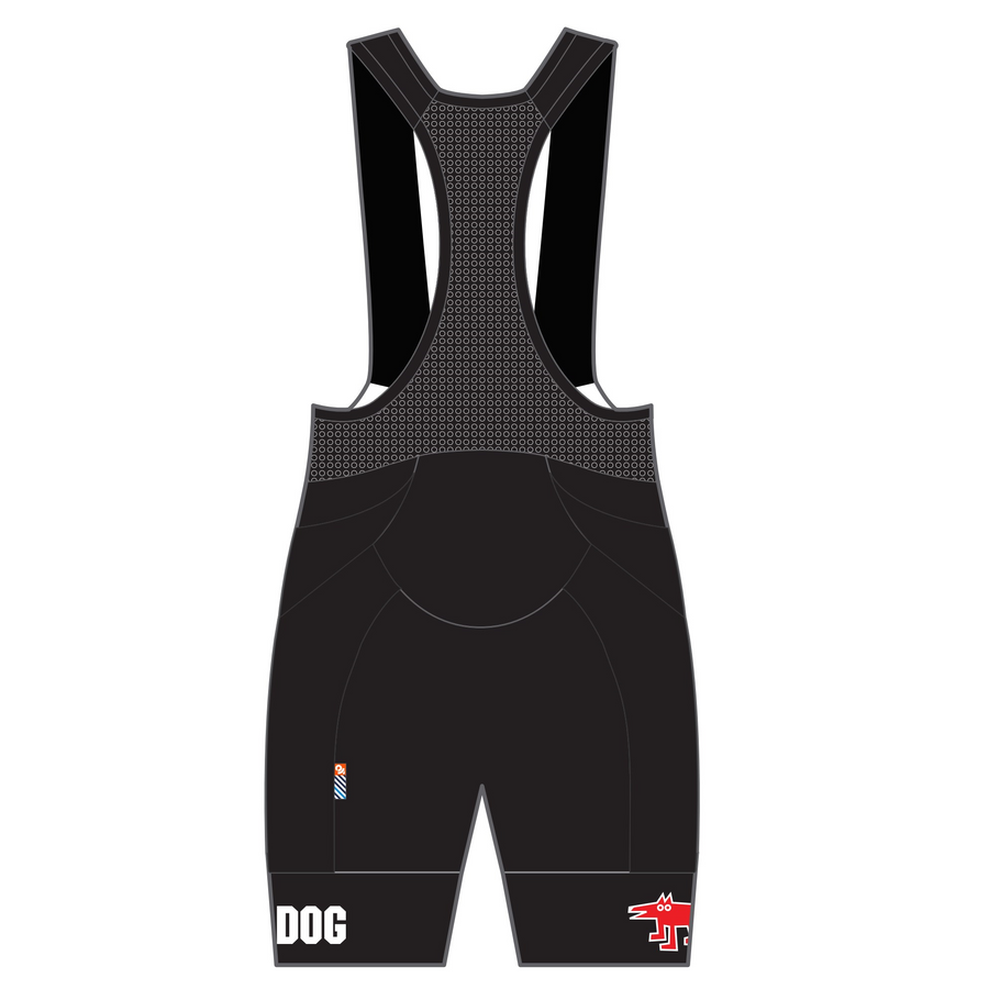 PERFORMANCE+ Premium Bib Short