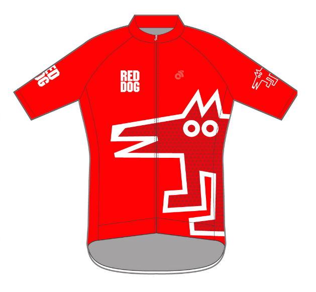 PERFORMANCE+ Jersey Red