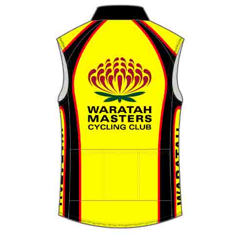 Wind Vest