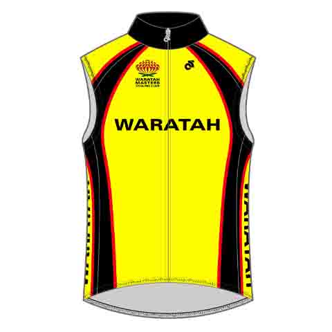 Wind Vest