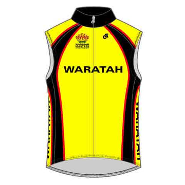 Wind Vest