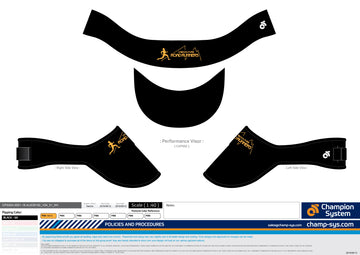 Visor