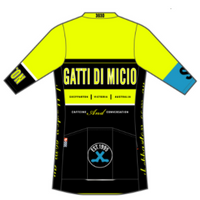 Apex+ Jersey Yellow with Blue Band