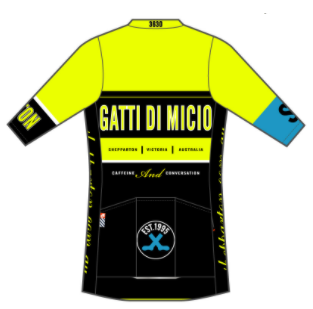Apex+ Jersey Yellow with Blue Band