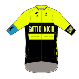 Apex+ Jersey Yellow with Blue Band