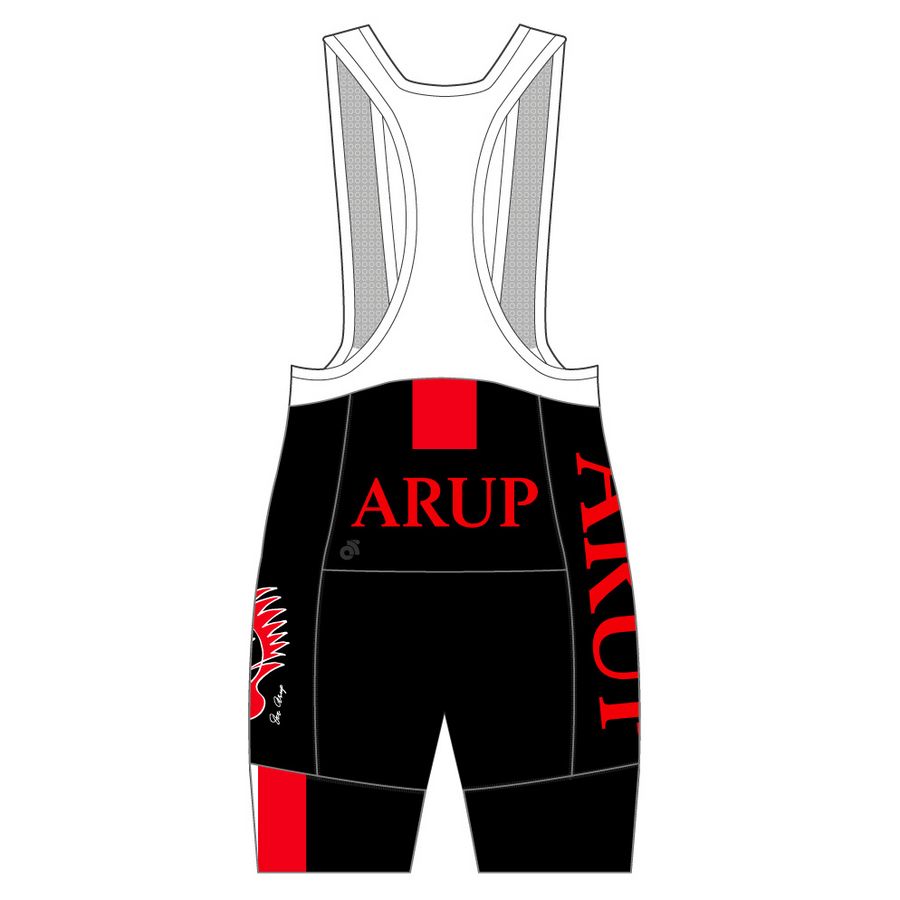 PERFORMANCE Winter Bib Shorts