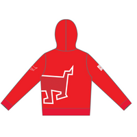 PERFORMANCE Pullover Hoodie