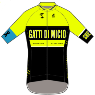 Performance+Jersey Yellow with Blue Band