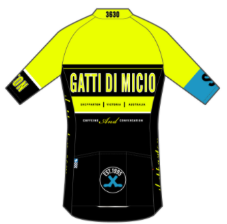 Performance+Jersey Yellow with Blue Band