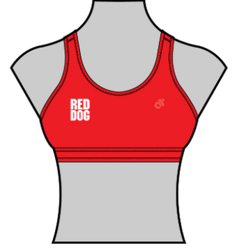 Performance Sports Bra
