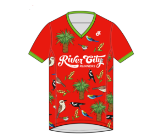 APEX Men's Run Top