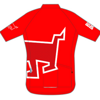 PERFORMANCE+ Jersey Long Sleeve