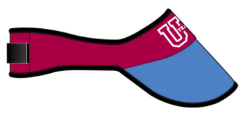 Visor