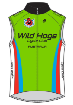 Performance Winter Vest