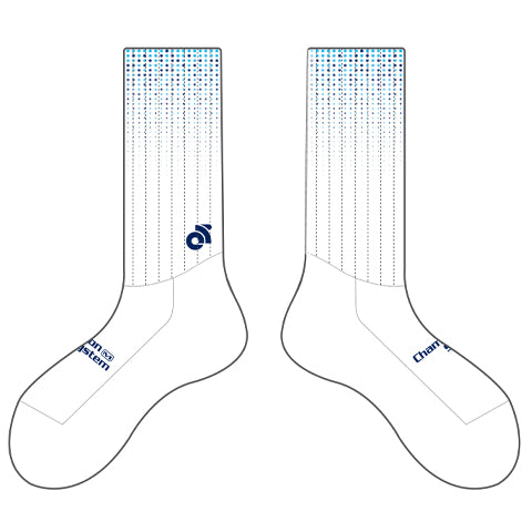 Aero Race Socks - White