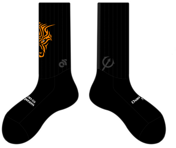 Aero Race Socks