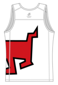 APEX Men's Run Singlet