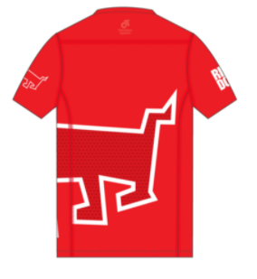 PERFORMANCE Training Top Short Sleeve