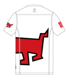 PERFORMANCE Training Top Short Sleeve