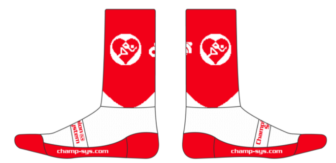 Performance Socks 6"