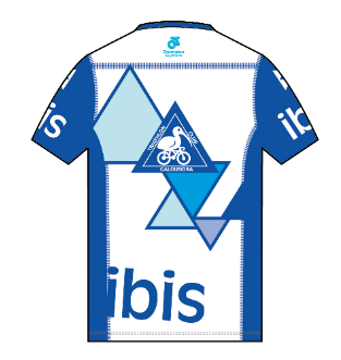 APEX Men's Run Top