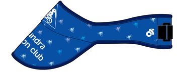 Visor