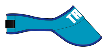 Visor